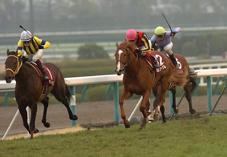オルフェの背で味わった希望と絶望=池添が三冠、逸走、有終の オルフェの背で味わった希望と絶望=池添が三冠、逸走、有終の