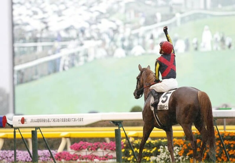 オルフェの背で味わった希望と絶望＝池添が三冠、逸走、有終の有馬を語る - スポーツナビ