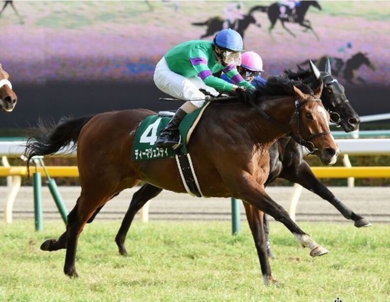 二強大敗でダービー想定オッズが激変 牝馬戦線はメジャーエンブレムが断然人気 スポーツナビ