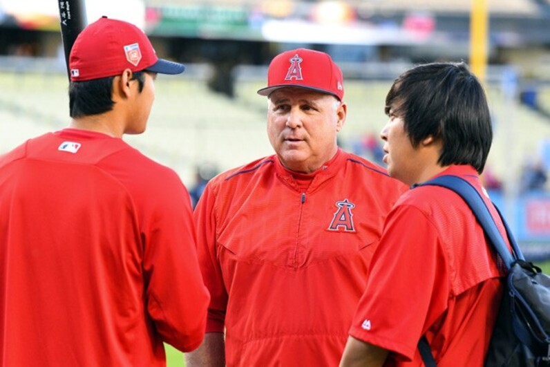 vrwP1cu9cY2YL4Fg3aXpJtHyHIQWv4