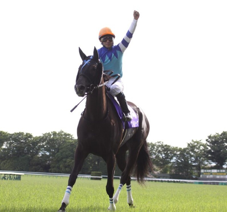 ヴィルシーナ関係者記念品　2013ヴィクトリアマイルG1 ウマ娘　競馬 ヴィルシーナがG1初制覇 競馬のヴィクトリアマイル - 日本経済新聞
