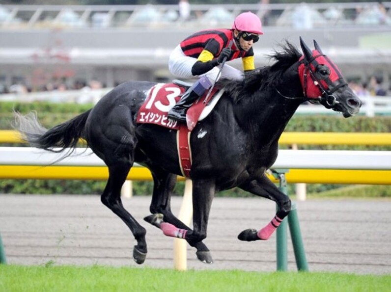 ①エイシンヒカリ （エイシンヒカリが世界ランキング1位に。IFHA