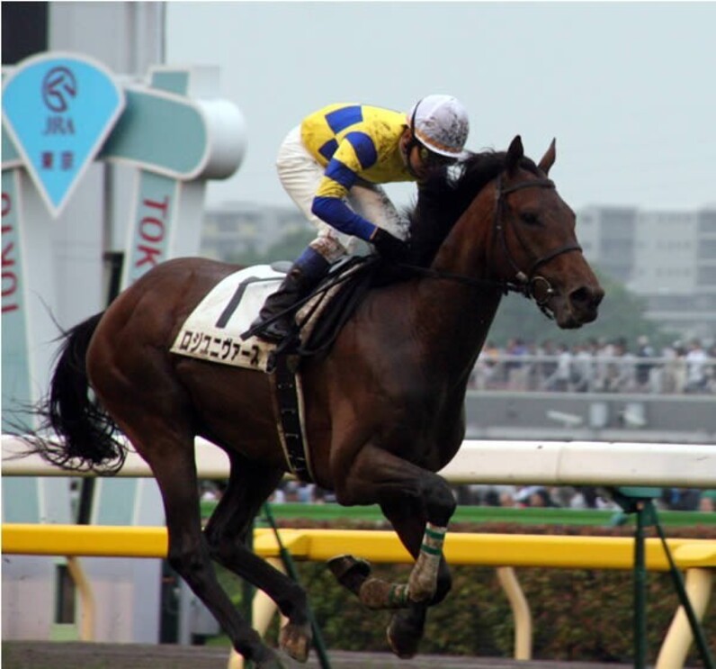 ブエナビスタ 競馬 写真立て 記念 盾 ブエナビスタ「世界に冠たる絶景