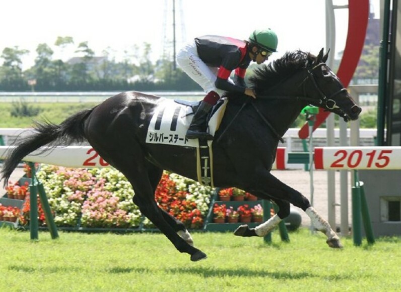 ５馬身差のレコード勝ちに☆８つ 福永シルバーステートが２戦目で本領