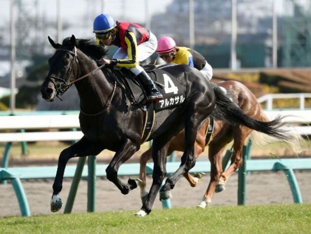 ダービーの惑星候補出現でオッズも変動 ドリームジャーニー産駒のアルカサル スポーツナビ