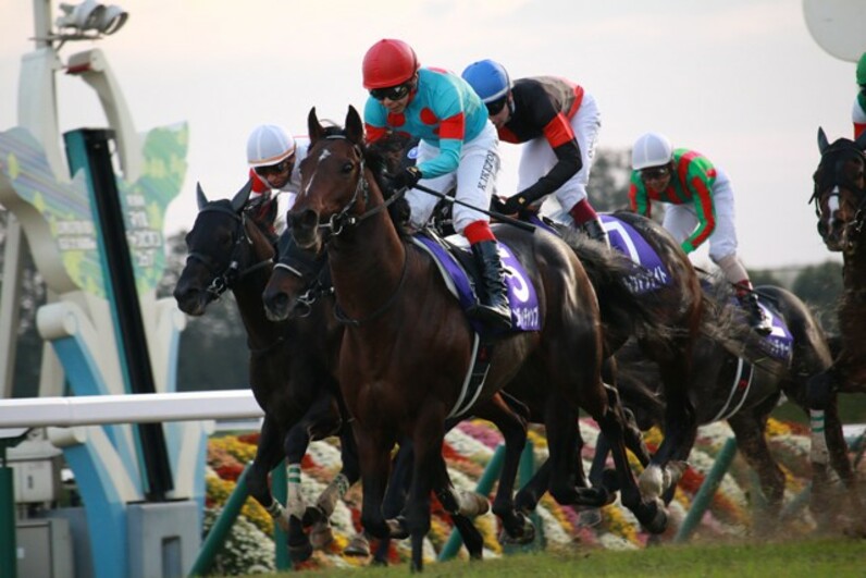 本日売り切り競馬インディチャンプジャケット