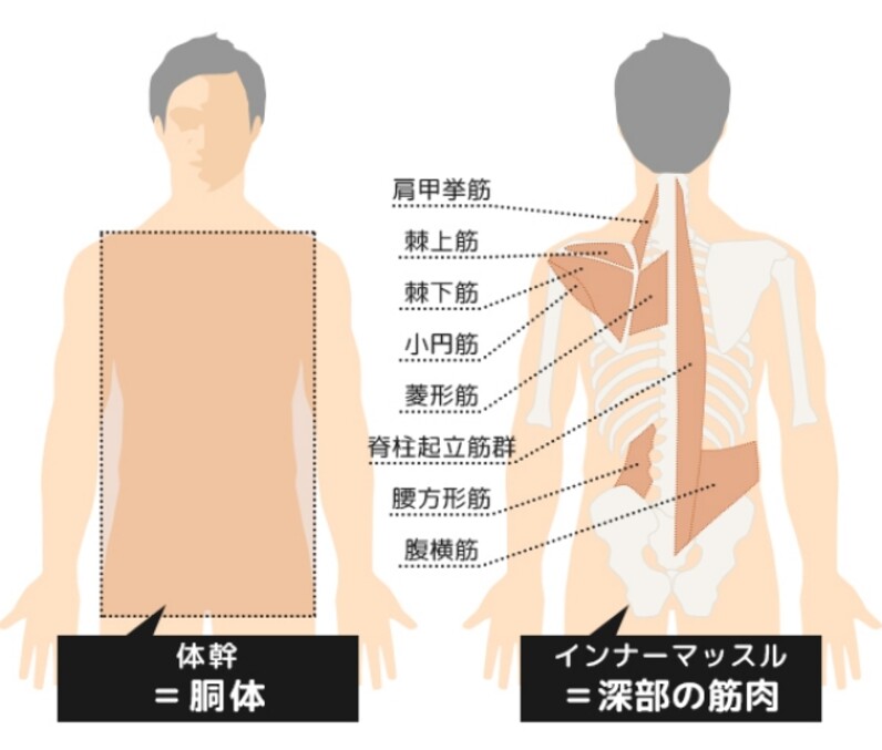 インナーマッスルの鍛え方〜効果を出すためのトレーニング