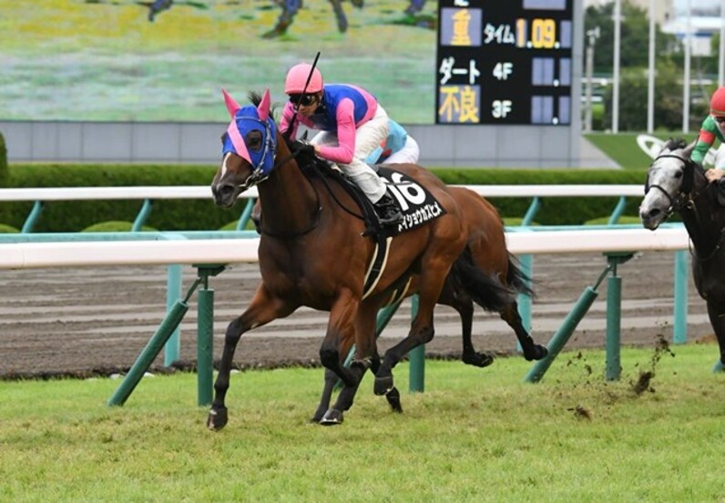 騎手・武豊「4000勝」の数字が持つ意味 名手を突き動かす誇りと競馬愛、感謝の心 - スポーツナビ