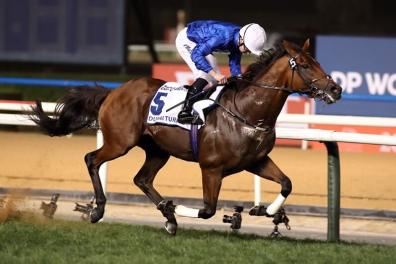 競馬　　ゴドルフィン　ドバイワールドカップ 2025ドバイワールドカップデーのJRA所属馬の成績（発売しないJRA