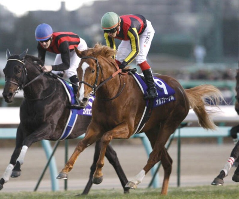 オルフェーヴル完全Vで日本一！「来年は世界一目指して」＝有馬