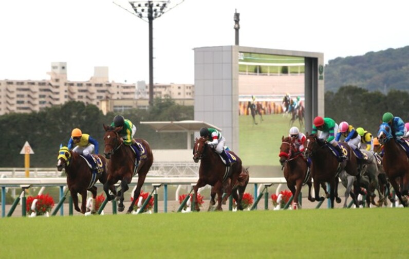 【サトノダイヤモンド】ルメール騎手直筆サイン　2016 第77回　菊花賞　馬券 サトノダイヤモンド】ルメール騎手直筆サイン 2016 第77回