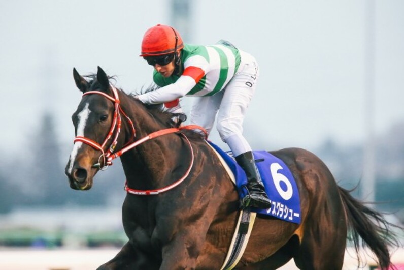 歓喜と悲しみのリスグラシュー有馬花道V 1周目誤算アーモンド