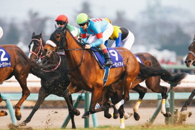 歓喜と悲しみのリスグラシュー有馬花道V 1周目誤算アーモンド