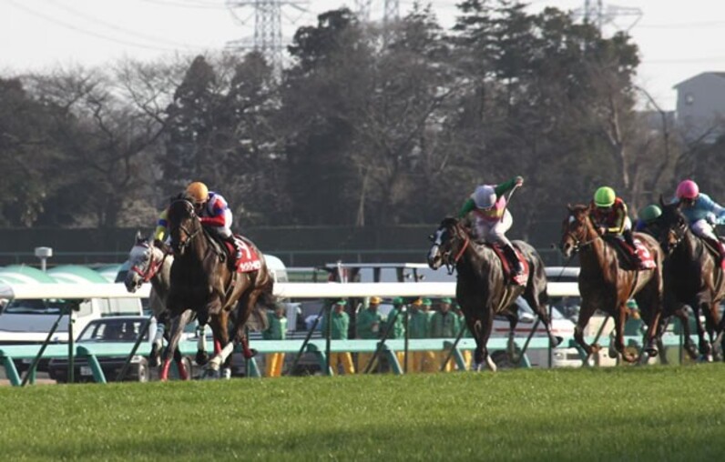 ヴィクトワールピサ文句なしV! ドバイへ視界良好=中山記念