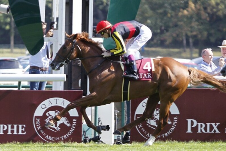 ①◆　競馬　JRA　◆　オルフェーヴル　◆　凱旋門賞　◆ストラップ　ボールペン◆ オルフェーヴル（Orfevre） | 競馬データベース | JRA-VAN World