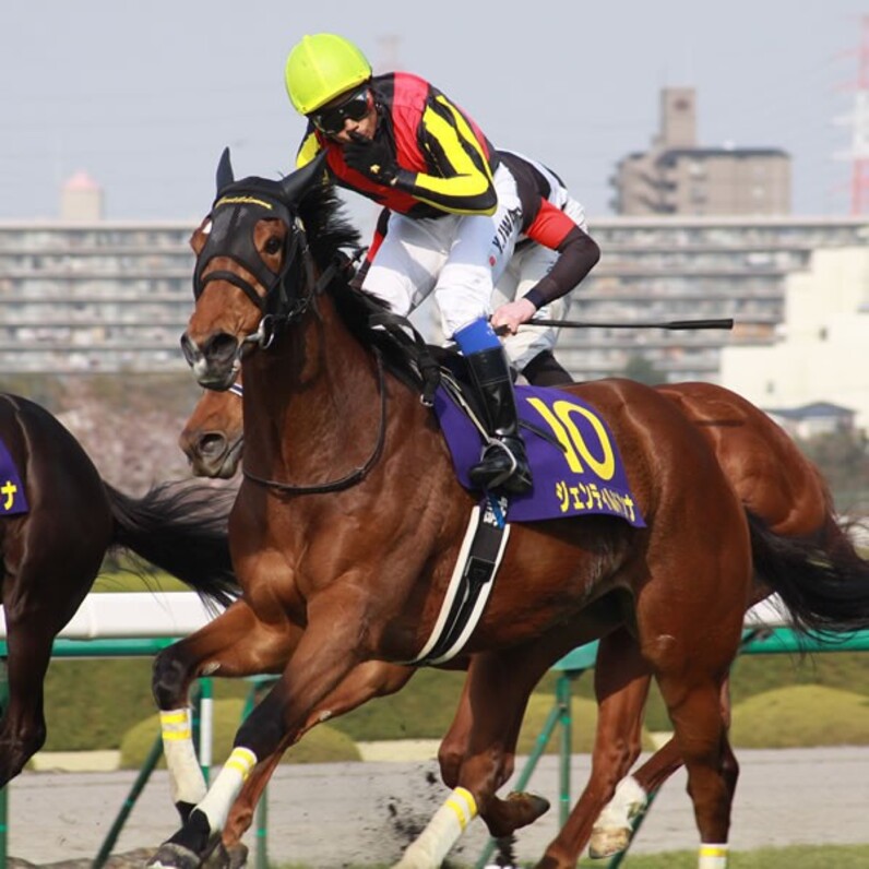 桜満開ジェンティルドンナ、春二冠も手応え=桜花賞 - スポーツナビ