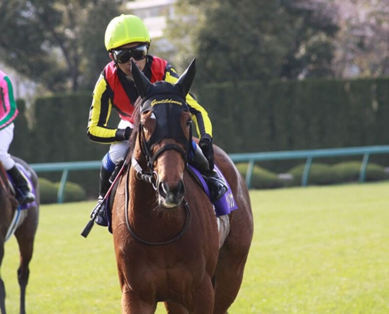 桜満開ジェンティルドンナ、春二冠も手応え=桜花賞 - スポーツナビ