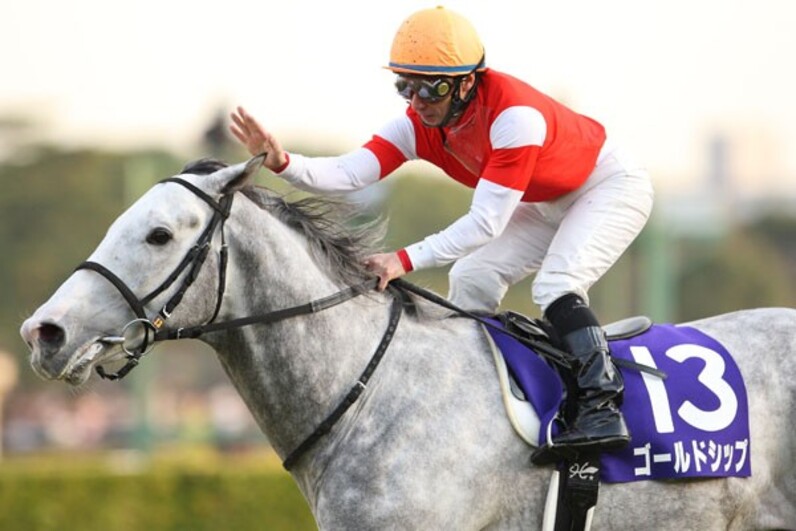 新・芦毛伝説の幕開け、ゴールドシップ豪脚V=有馬記念