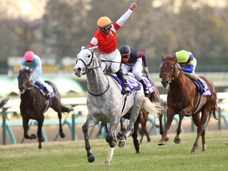 有馬記念 おうまさんイヤーマフ　芦毛