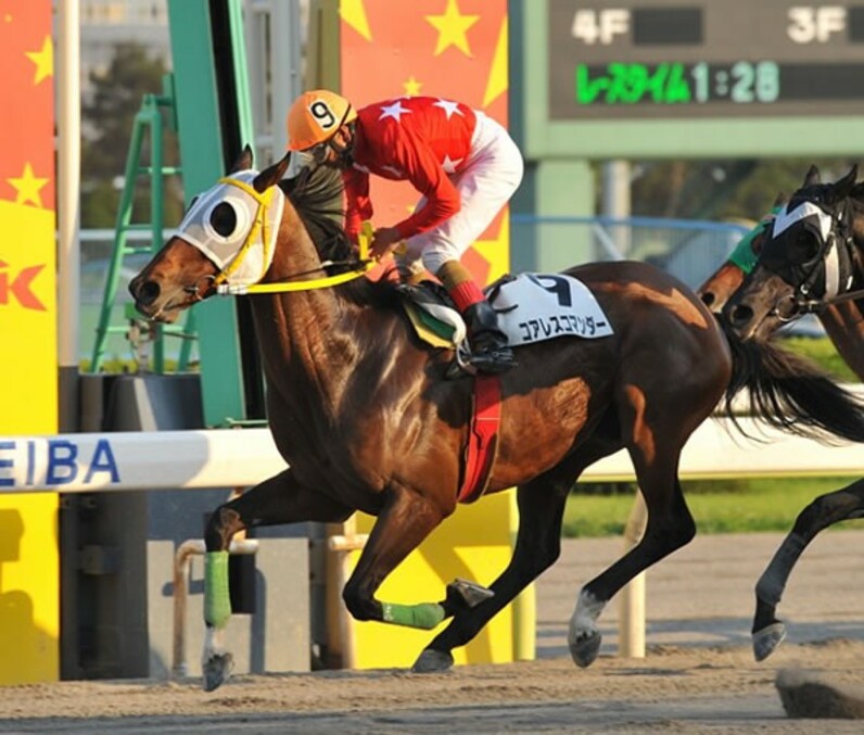 大井競馬の帝王”的場文男、５３歳の不死鳥ジョッキー - スポーツナビ