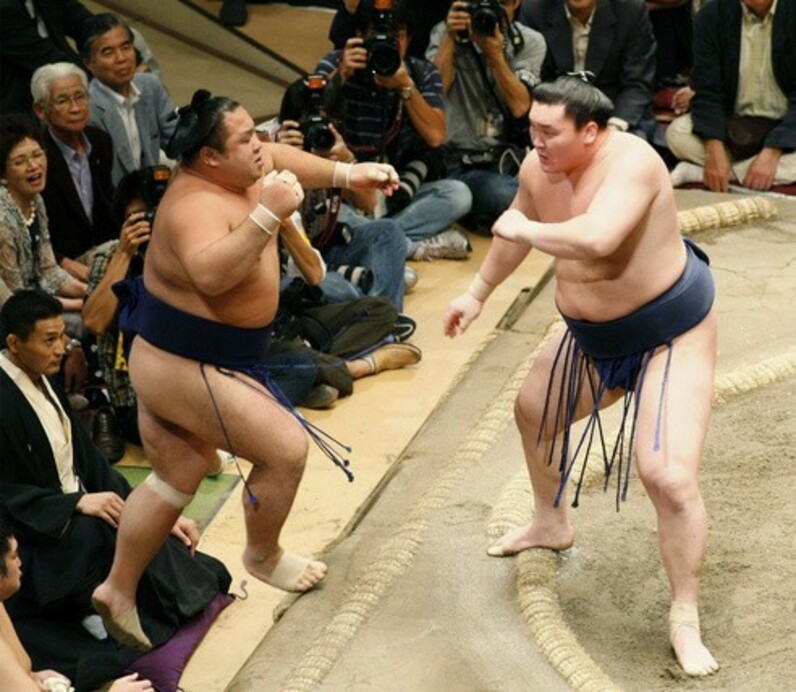 写真で振り返る大相撲この１０年 ２００６年〜２０１０年 - スポーツナビ
