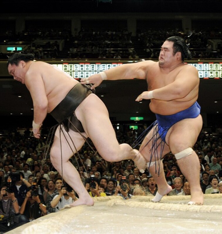 写真で振り返る大相撲この10年 2011年〜2016年