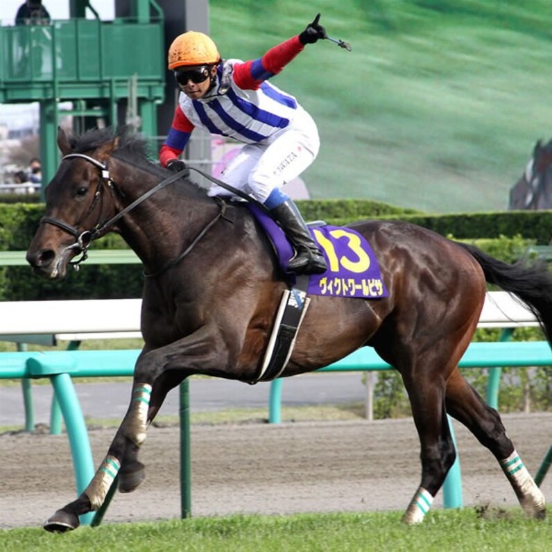 史上空前のダービー開戦 ３歳馬７６１１頭の頂点は 展望 スポーツナビ