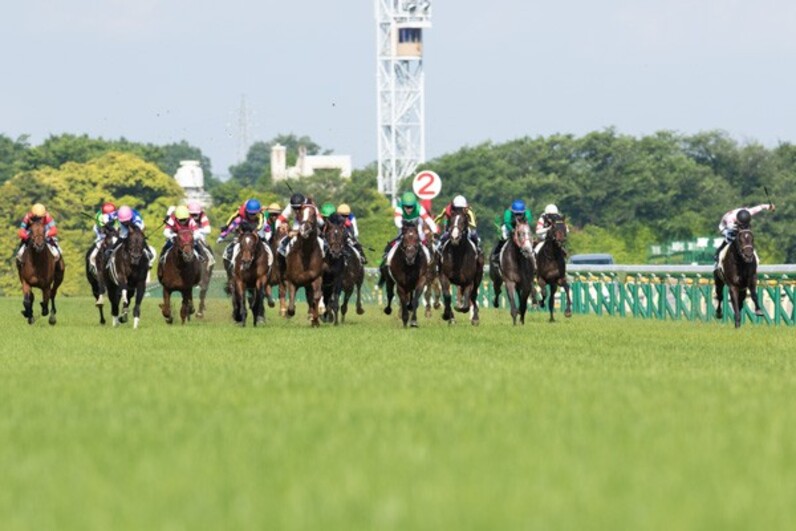 ルメール神技炸裂 今度は日仏ダービーｖ 3歳頂点レイデオロ 秋は古馬路線も視野 スポーツナビ