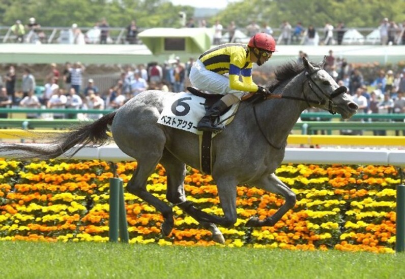 想定レコード 競馬 トップ