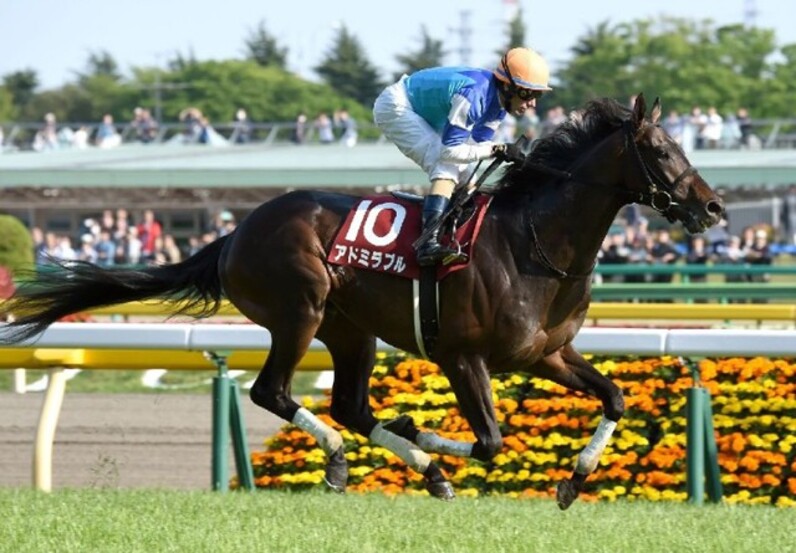 想定レコード 競馬 トップ