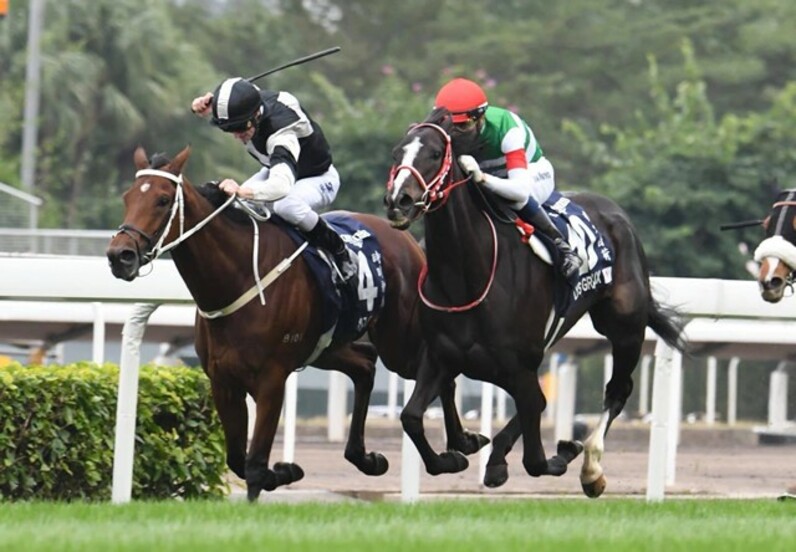 世界3強牝馬”の夢対決は実現するか？ 香港で聞いた外国騎手