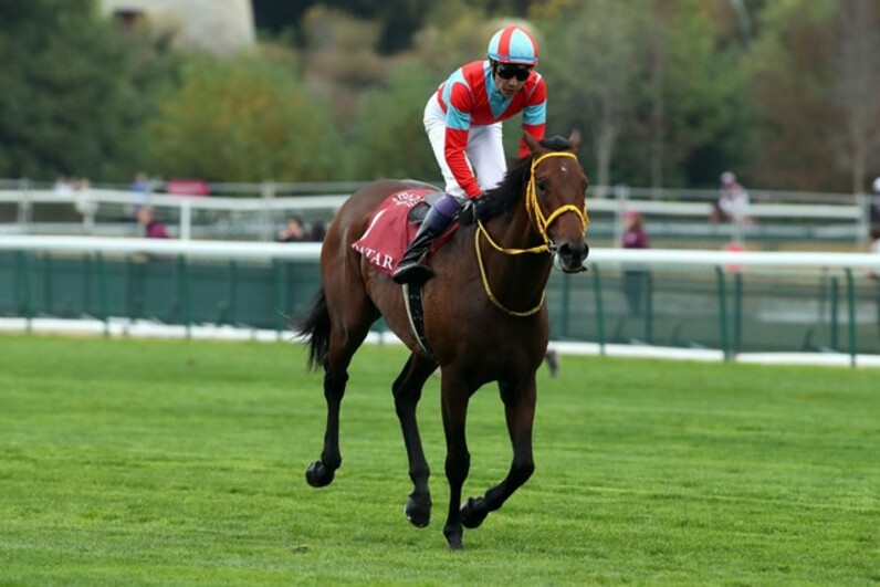 エネイブル、陣営の勝利で歴史的名馬に 日本馬の悲願は持ち越し