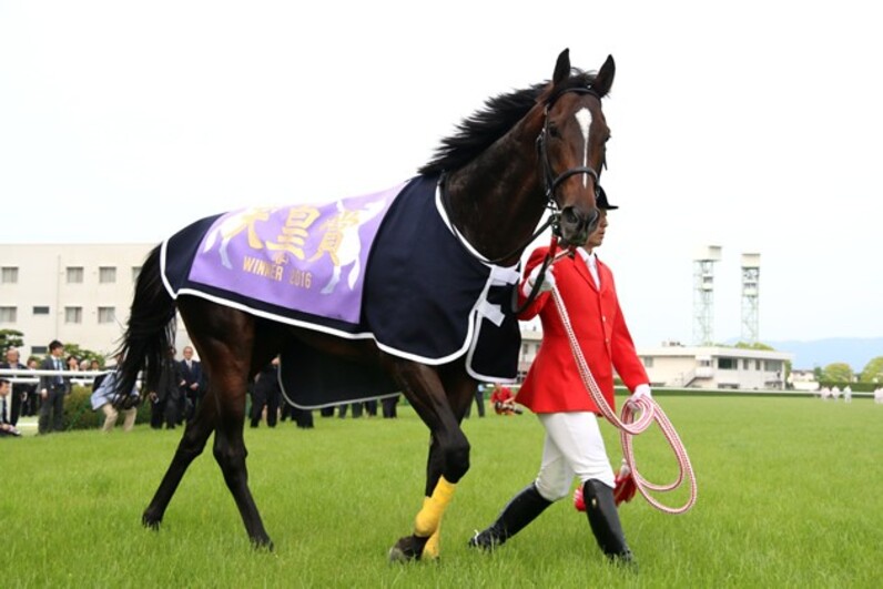 武豊の手腕にサブちゃん泣いた、歌った！ キタサンブラック4cm差