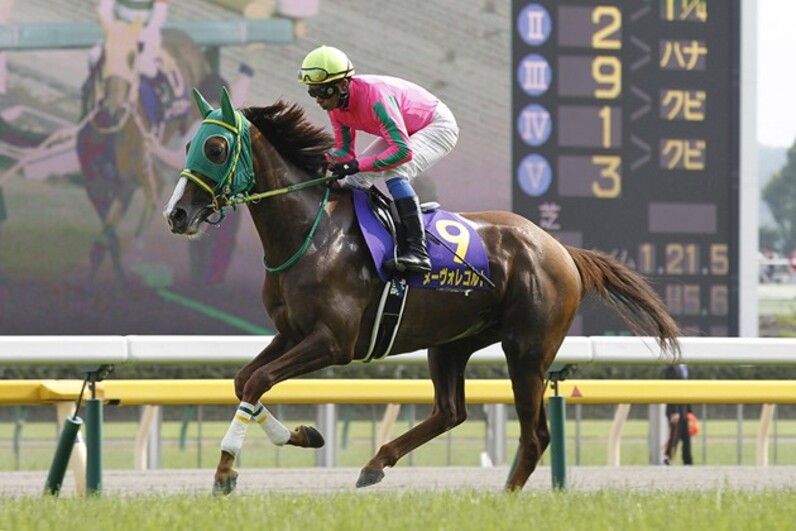 第30回エリザベス女王杯　スイープトウショウ　競馬　アイドルホース　ウマ娘 印刷用】スイープが牝馬日本一／競馬のエリザベス女王杯
