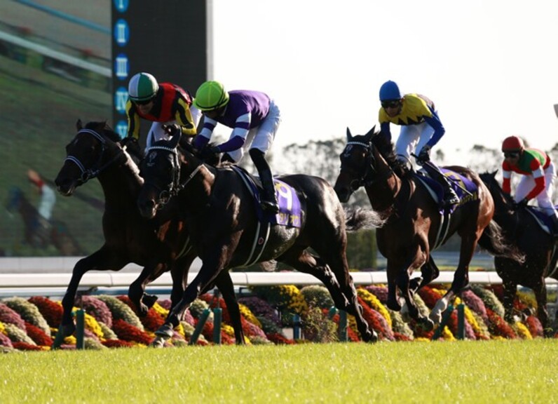 菊Vフィエールマンは競馬界のエムバペ ルメール「才能があれば経験はいらない」 - スポーツナビ