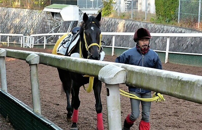 大賞典“そんたく”レース、シュヴァル 「競馬巴投げ！第140回」1万円