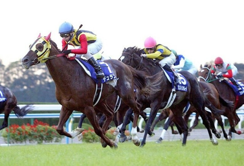 三冠馬フィギュア3体 三冠馬フィギュア3体