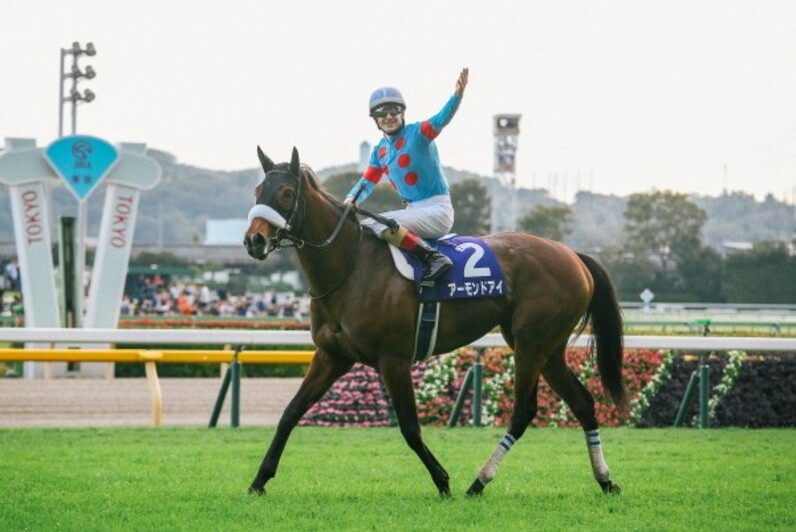 第160回 天皇賞・秋 回顧 | 競馬 研究ニュース