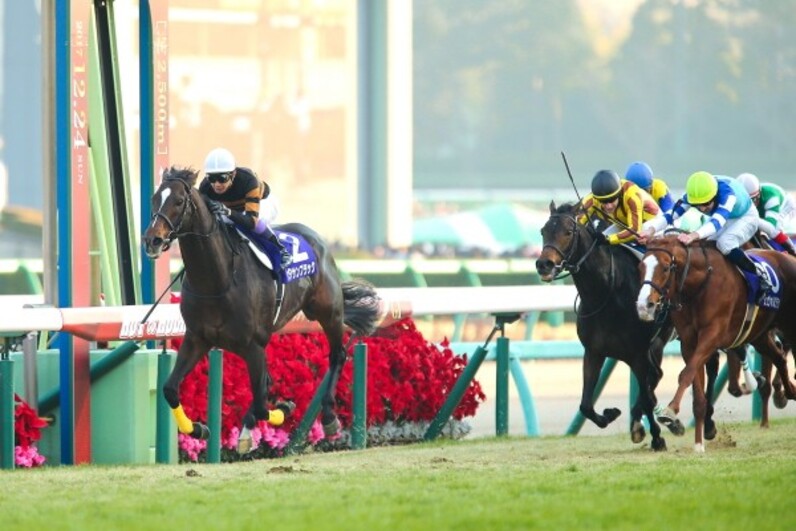 キタサンブラックに「ありがとう」を――武豊も感慨「騎手冥利 キタサンブラックに「ありがとう」を――武豊も感慨「騎手冥利