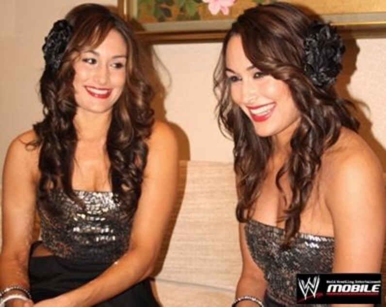 世界が注目！WWE人気美人双子ディーバにインタビュー