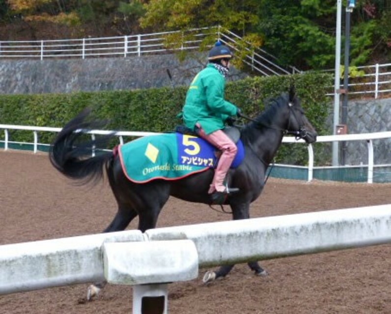 液体競馬のすすめ…京都記念は大穴ハギノ 乗峯栄一の「競馬巴投げ！第91