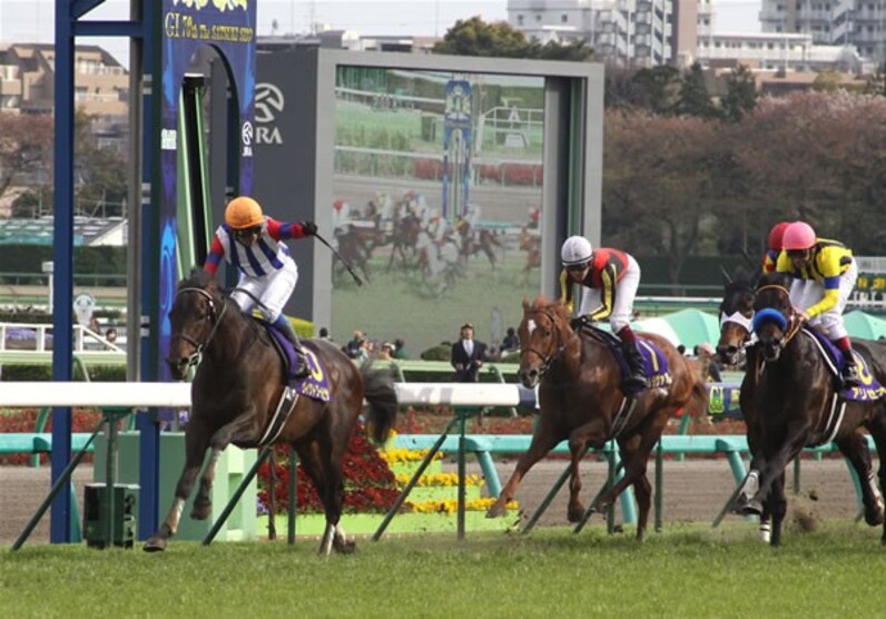 ヴィクトワールピサ完璧一冠! 新時代の主役へ=皐月賞 ヴィクトワールピサ完璧一冠! 新時代の主役へ=皐月賞