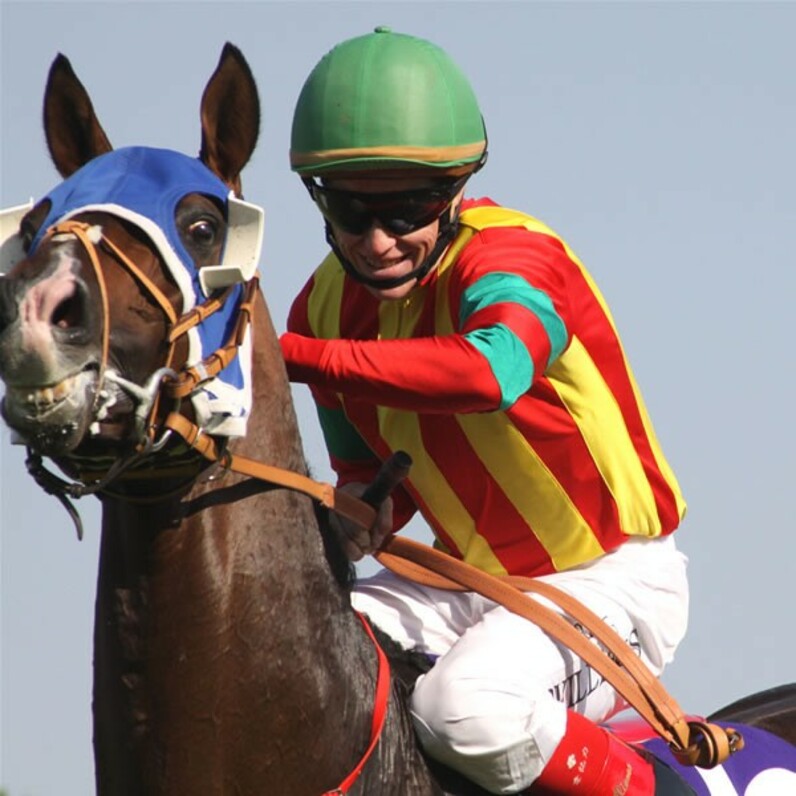 即決競馬■有馬記念レプリカゼッケン■天皇賞馬ジャガーメイル ゼッケンレプリカ【有馬記念】 | カテゴリー一覧,ゼッケン