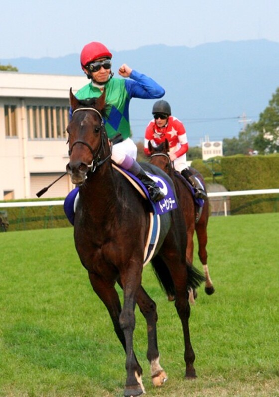 武豊Ｇ１通算100勝記念　直筆サイン入りパネル　トーセンラー　マイルCS