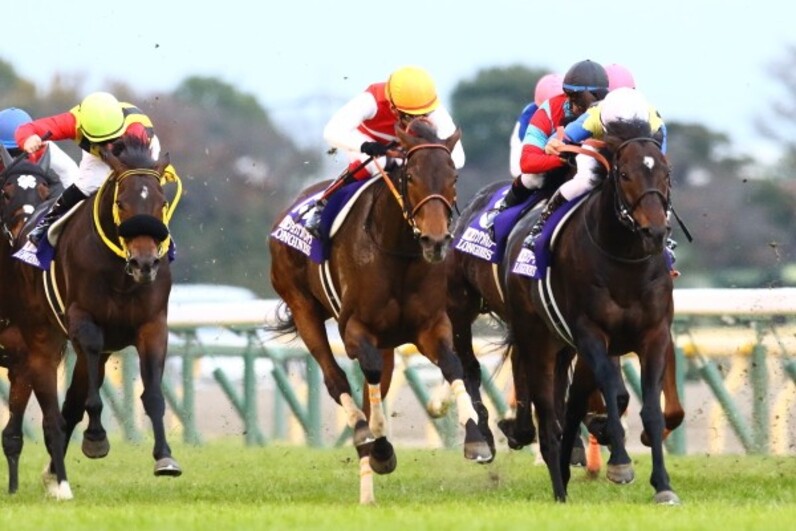◆　競馬　JRA　◆　ショウナンパンドラ　◆　ジャパンカップ　◆アクリルオブジェ 2015年 ジャパンカップ（GⅠ） | ショウナンパンドラ | JRA公式