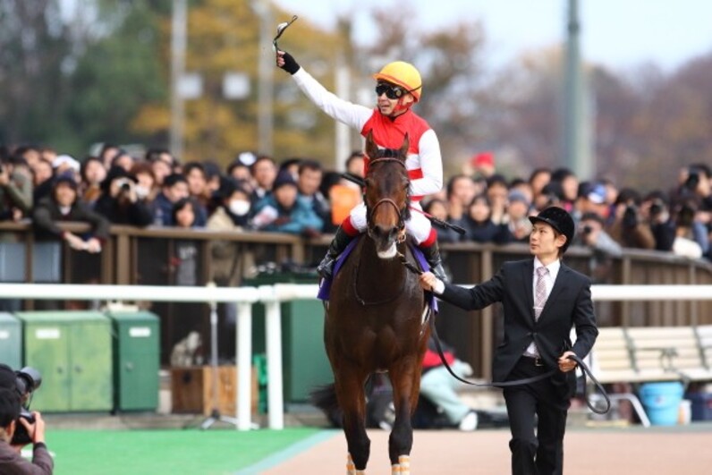 ショウナンパンドラ JC 馬券 | nate-hospital.com