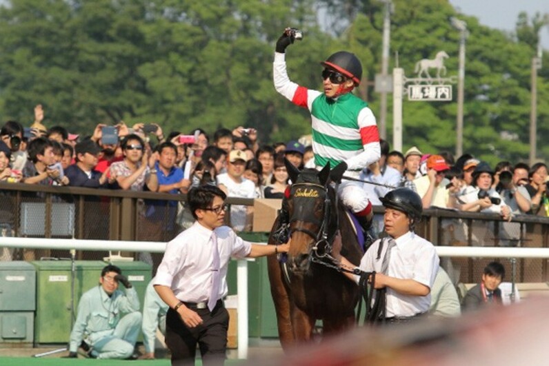 樫で輝くシンハライト直線100mの脚に凄み 池添「1番証明したい」真の