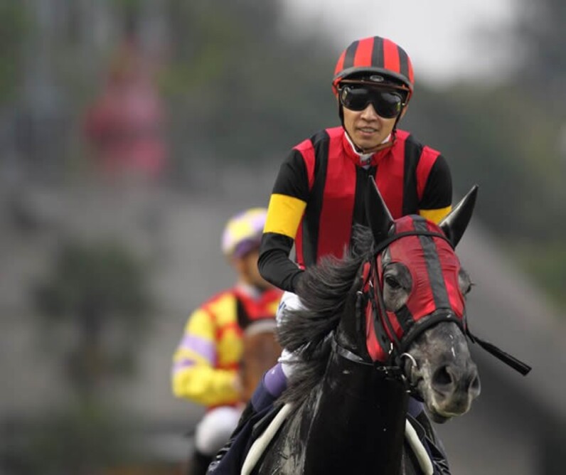 武豊＆ヒカリ欧州制覇目指し仏→英の旅 真の伝説的名馬へまず5/24イスパーン賞 - スポーツナビ