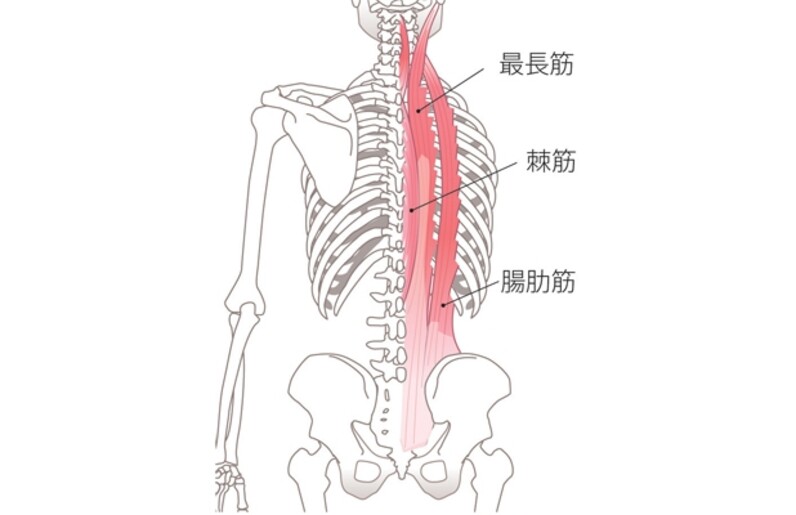 背中の力みをとる30秒ストレッチ 背中を丸めると痛い人は背中が力んでる スポーツナビdo