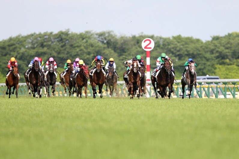 レイデオロは ダービー2着馬 レベル ラップで検証する実力と神戸新聞杯の勝算 スポーツナビ